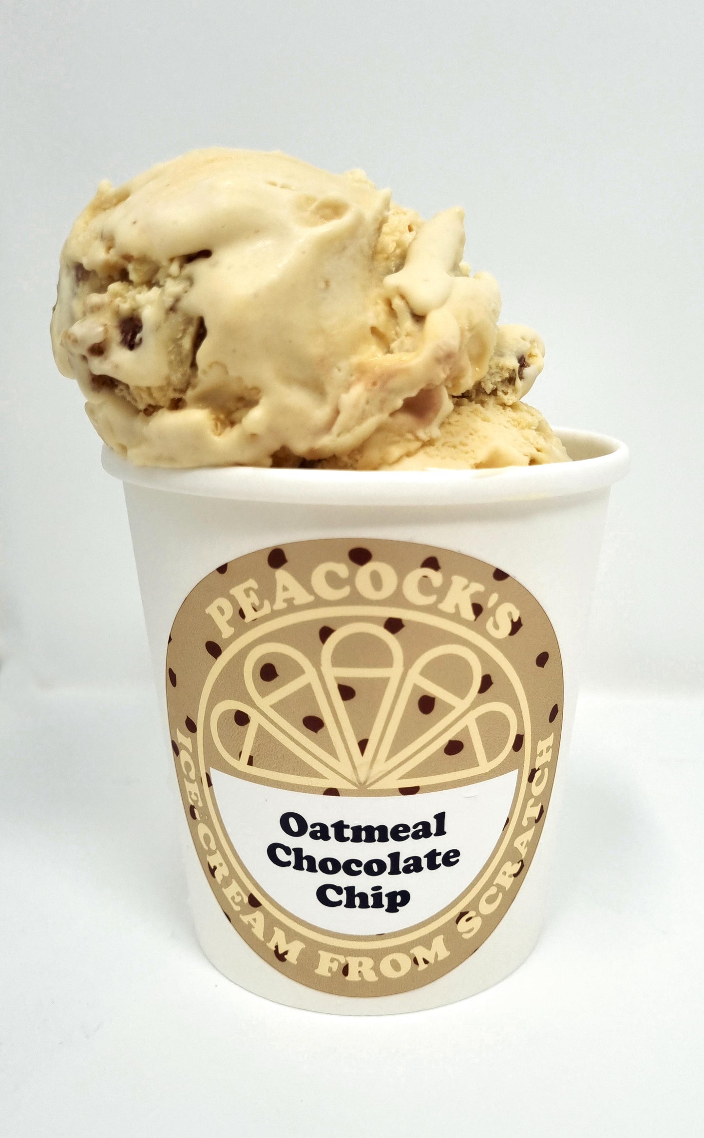 OATMEAL CHOCOLATE CHIP CHUNK